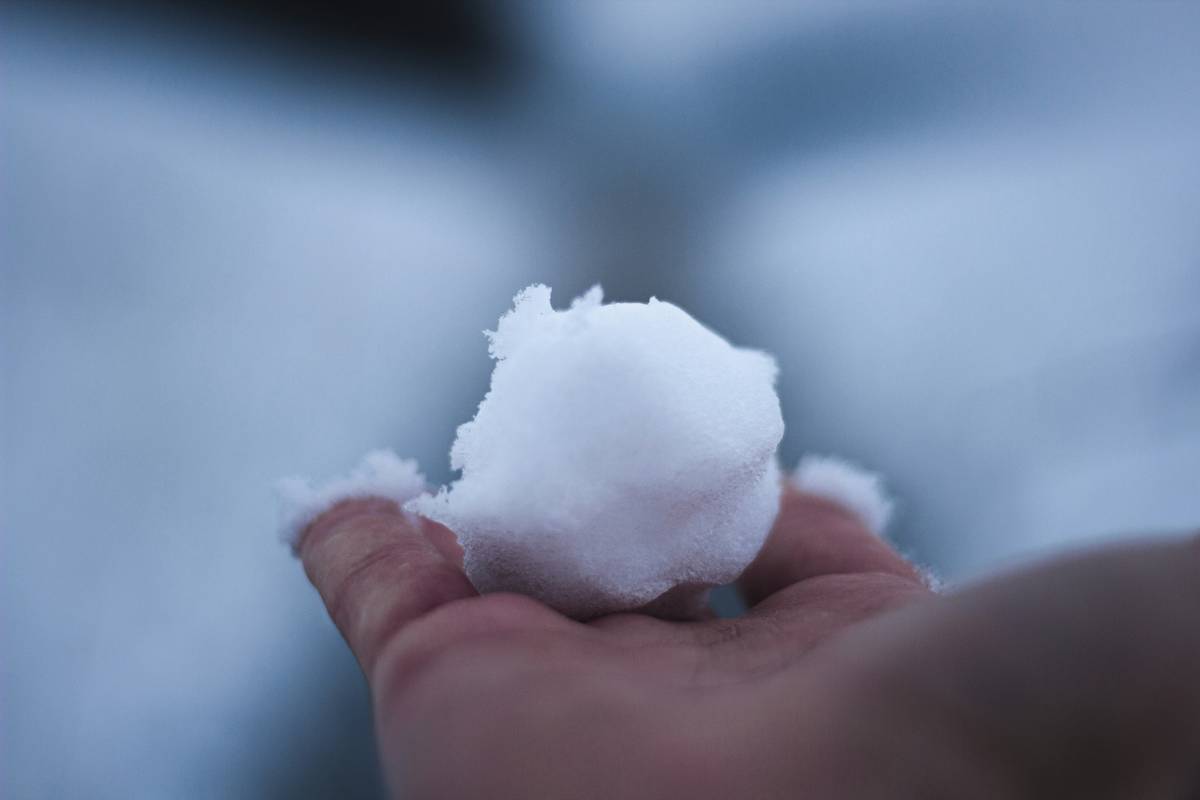 Side-by-side comparison of snowball tracker app interface on phone and tablet