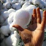 Debt Snowball Method Advantages: 7 Proven Ways to Avoid Painful Financial Mistakes