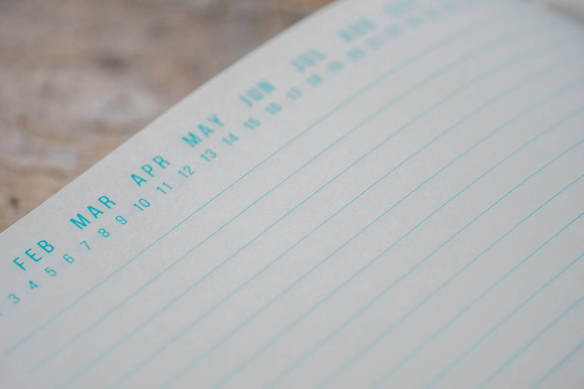 Snowball Budget Tracker: 7 Proven Ways to Avoid the Painful Mistake of Giving Up Too Soon